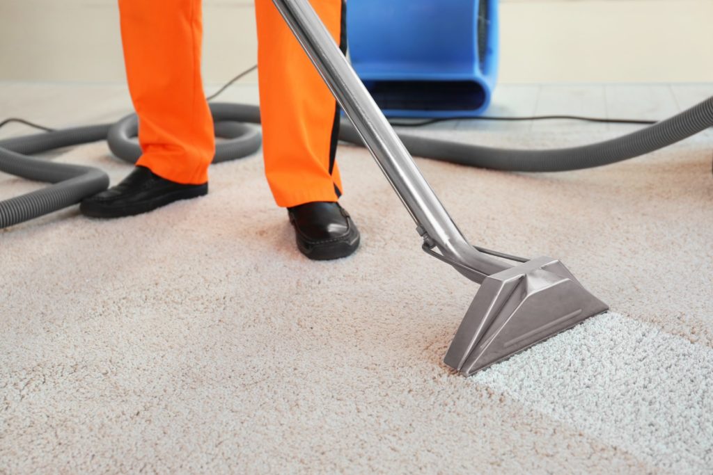 Important Guide to Office Carpet Cleaning